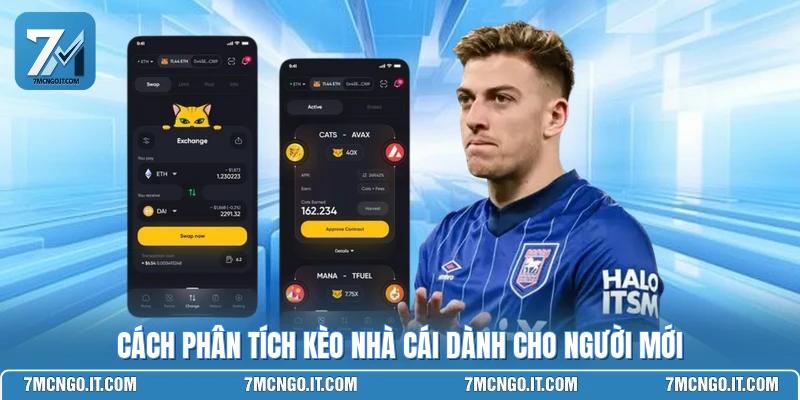 Cách phân tích kèo nhà cái dành cho người mới
