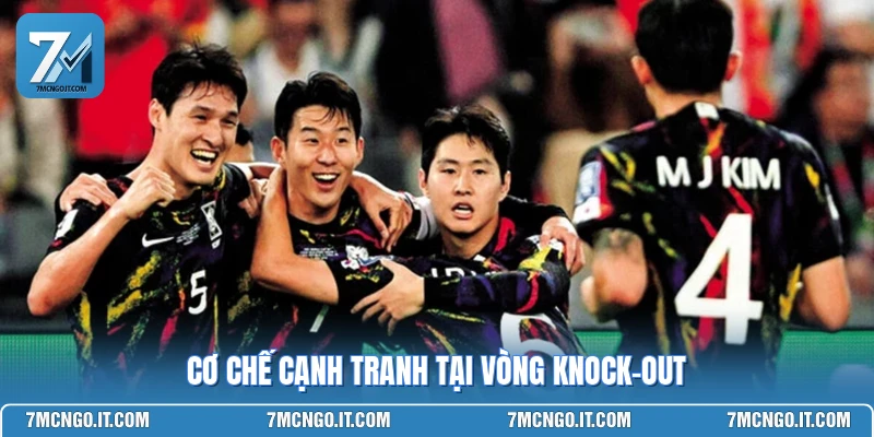 Cơ chế cạnh tranh tại vòng knock-out