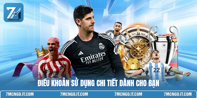 Điều khoản sử dụng chi tiết dành cho bạn