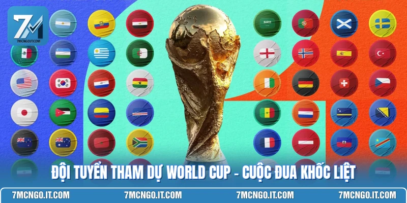 Đội Tuyển Tham Dự World Cup - Cuộc Đua Khốc Liệt Nhất