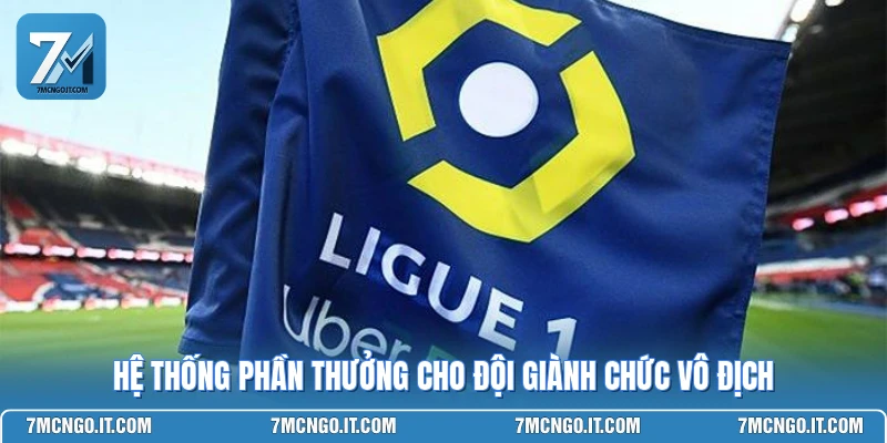 Hệ thống phần thưởng cho đội giành chức vô địch