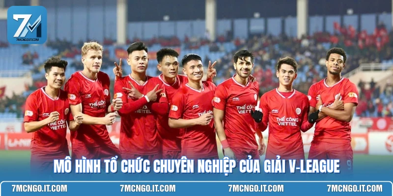 Mô hình tổ chức chuyên nghiệp của giải V-League