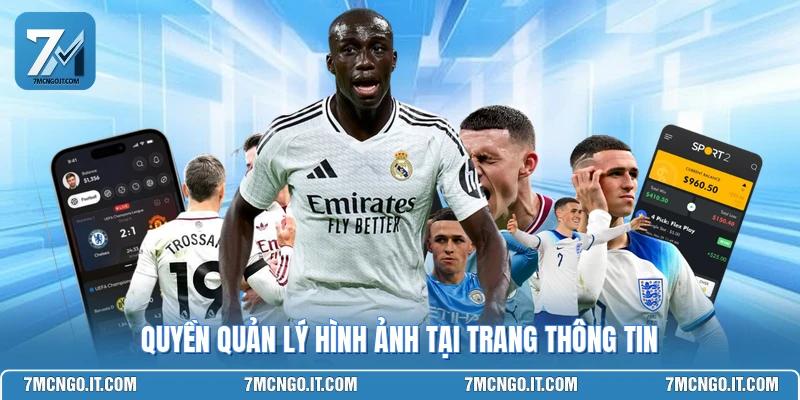 Quyền quản lý hình ảnh tại trang thông tin