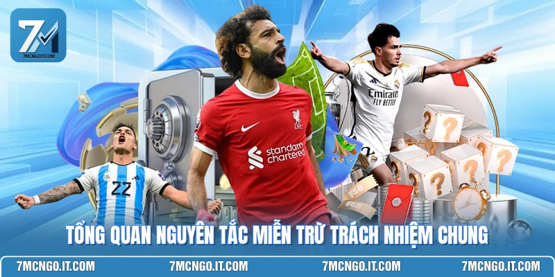 Tổng quan nguyên tắc miễn trừ trách nhiệm chung