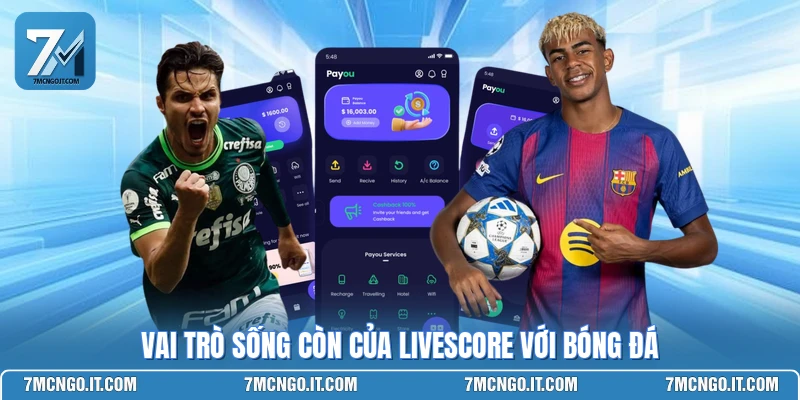 Vai trò sống còn của livescore với bóng đá